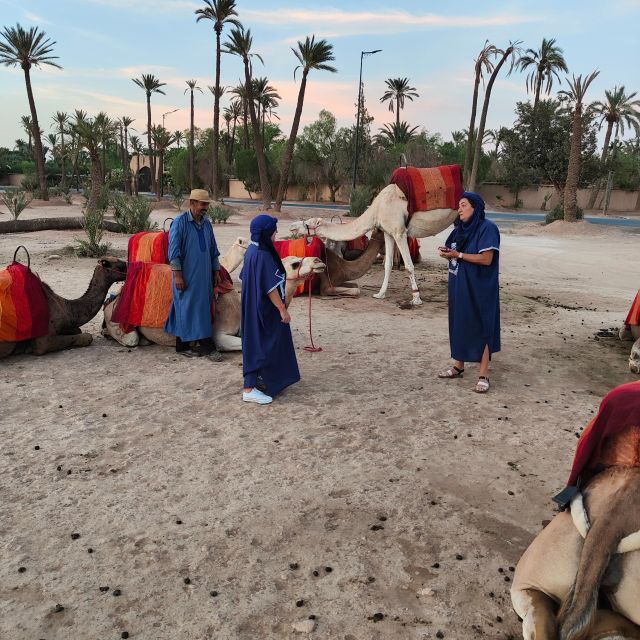 Marrakech camel ride in the palm grove - The camel ride through palms and villages