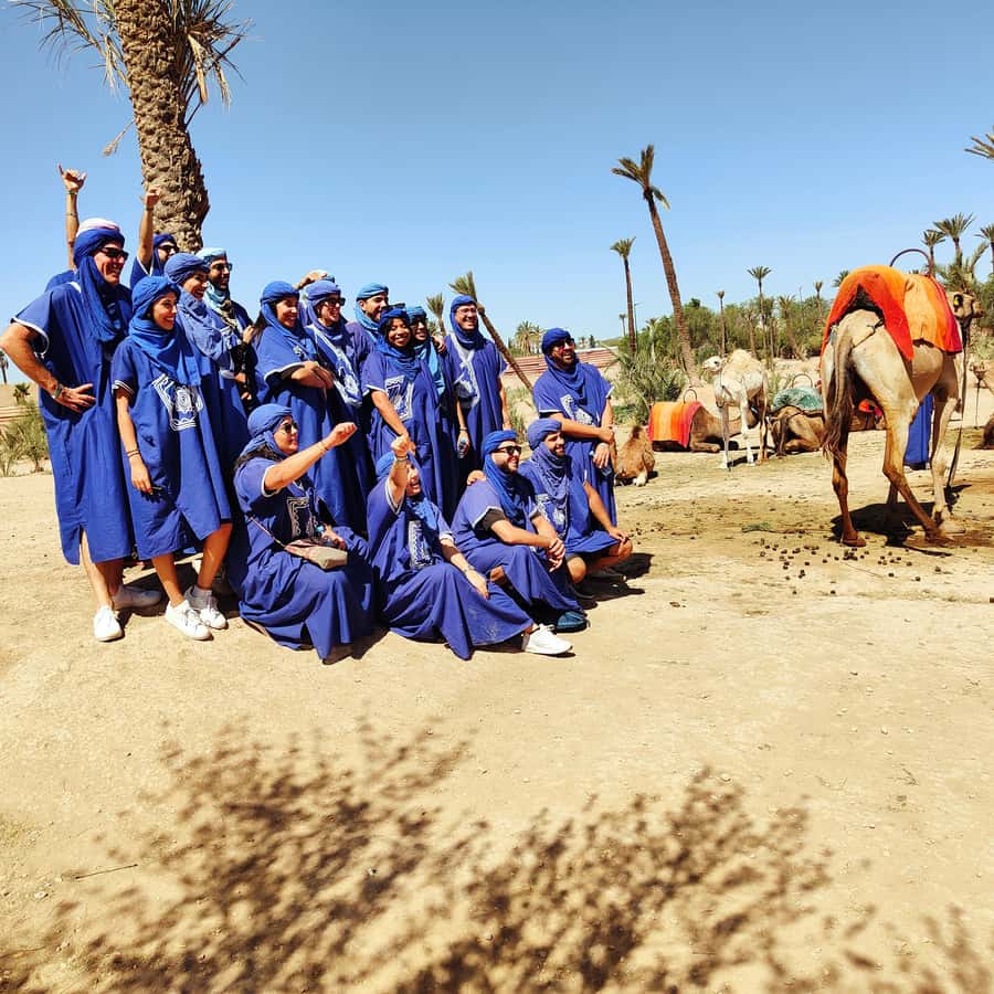 Marrakech camel ride in the palm grove - What the ride feels like in hot weather