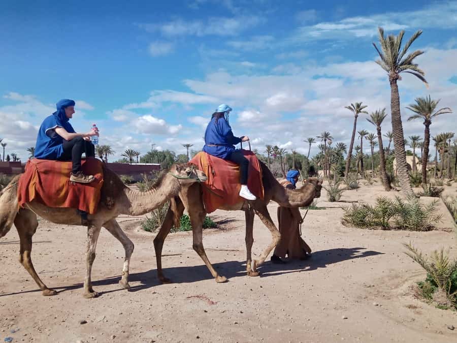 Marrakech camel ride in the palm grove - A good match for first-time camel riders
