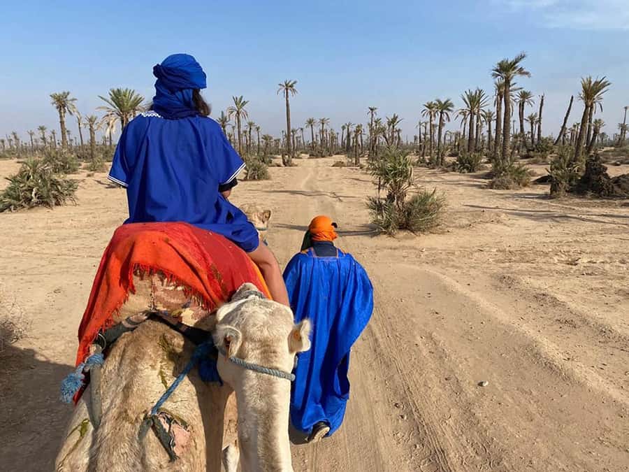 Marrakech Camel Ride in the Palmeraie Palm Grove - Reaching the Palmeraie from Marrakech