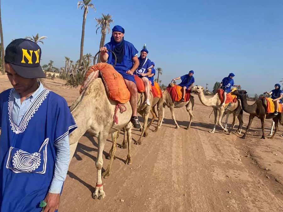 Marrakech Camel Ride in the Palmeraie Palm Grove - One Hour Among Palms and Orange Trees