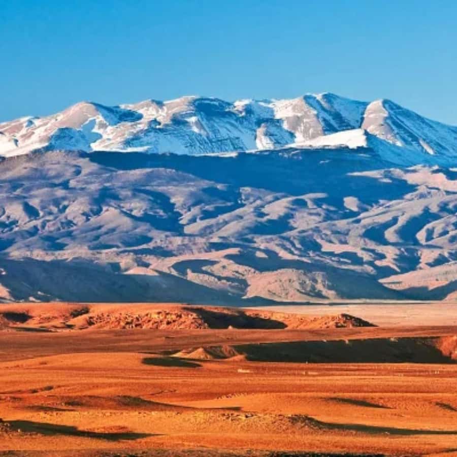 Marrakech: Camel Ride & Sunset Dinner with Fire Show - Is $22 a good value?