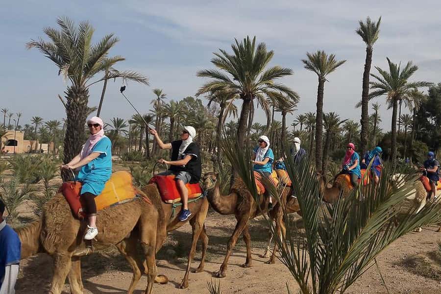 Marrakech: Camel Trek - Key points at a glance