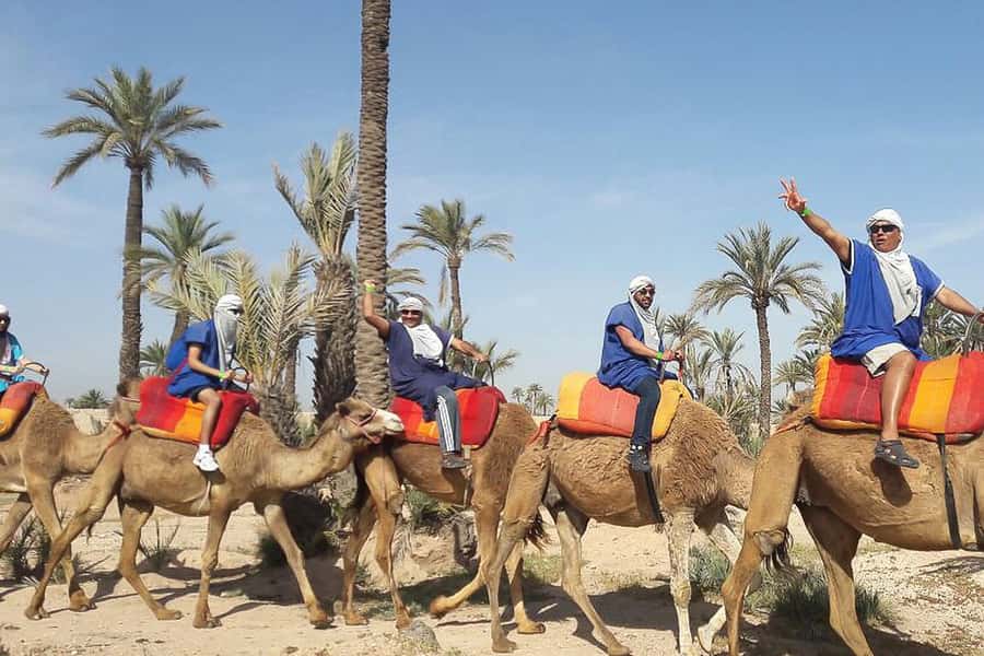Marrakech: Camel Trek - Practical tips for a smoother outing
