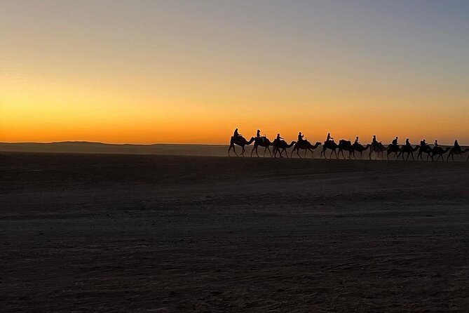 Marrakech: Camels & Quads on Sunset and Luxury Dinner with Show - Dinner beneath the stars
