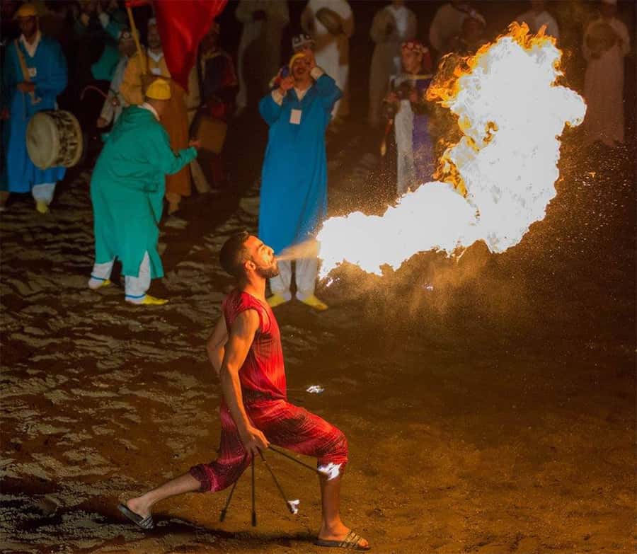 Marrakech: Chez Ali Fantasia Folklore Show & Moroccan Dinner - Key points to know before booking