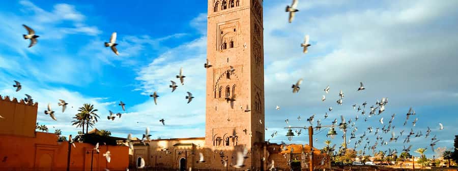 Marrakech City Tour, Private Fullday with Luxury Car - Key points to know before you book