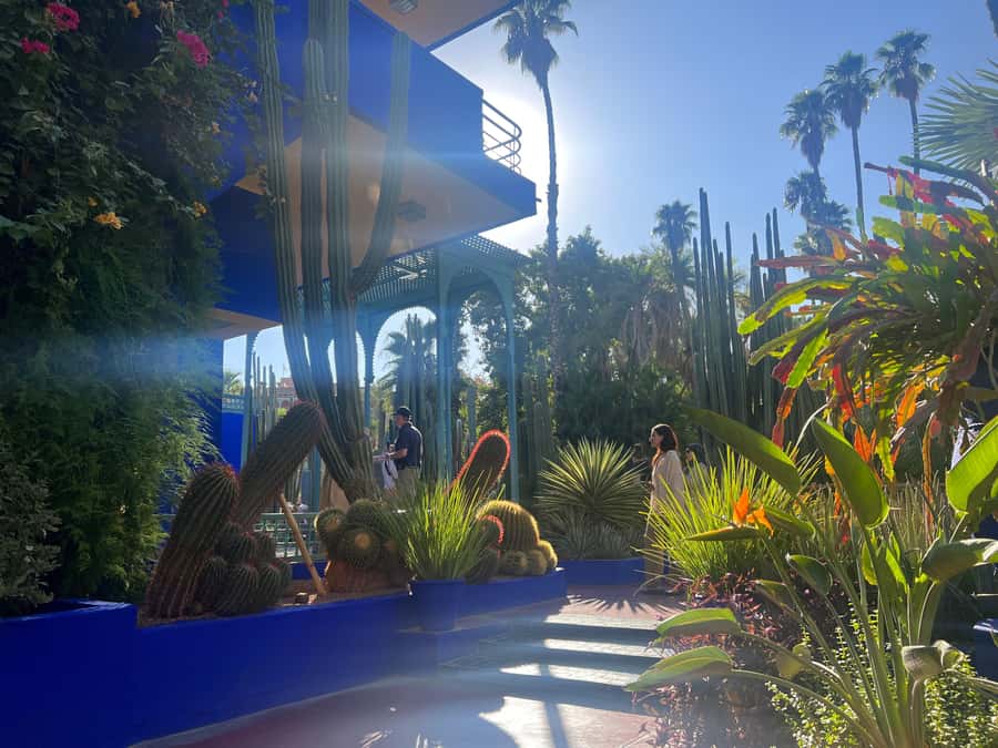 Marrakech City Tour, Private Fullday with Luxury Car - A local snack stop and room to adjust the pace