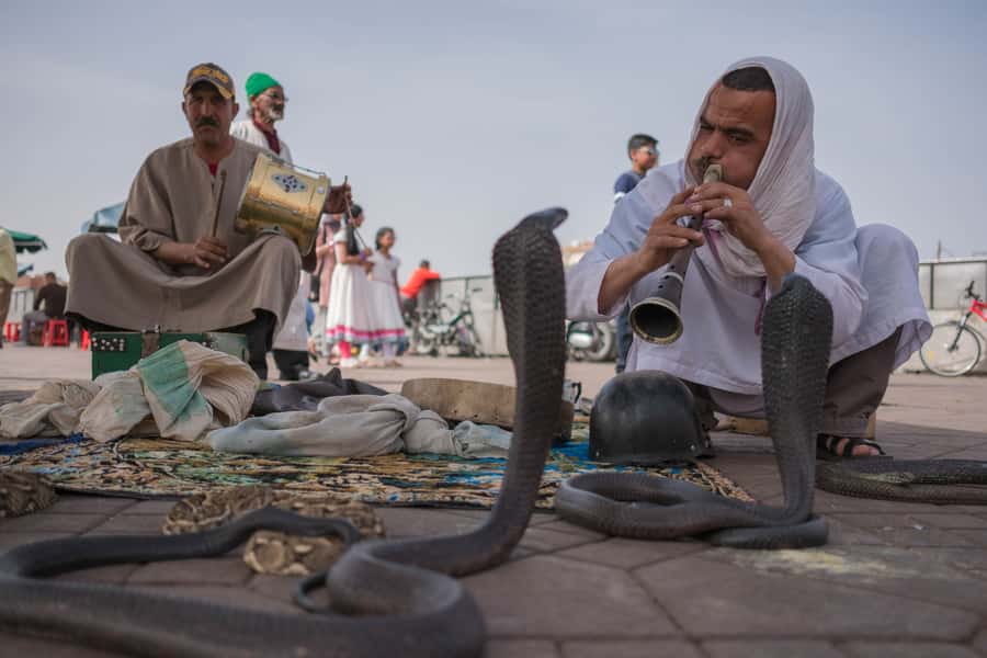 Marrakech: Customized Guided Walking Tour - Key points at a glance
