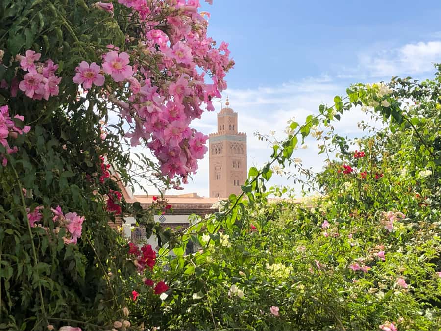 Marrakech: Customized Guided Walking Tour - Koutoubia Mosque and the old city skyline
