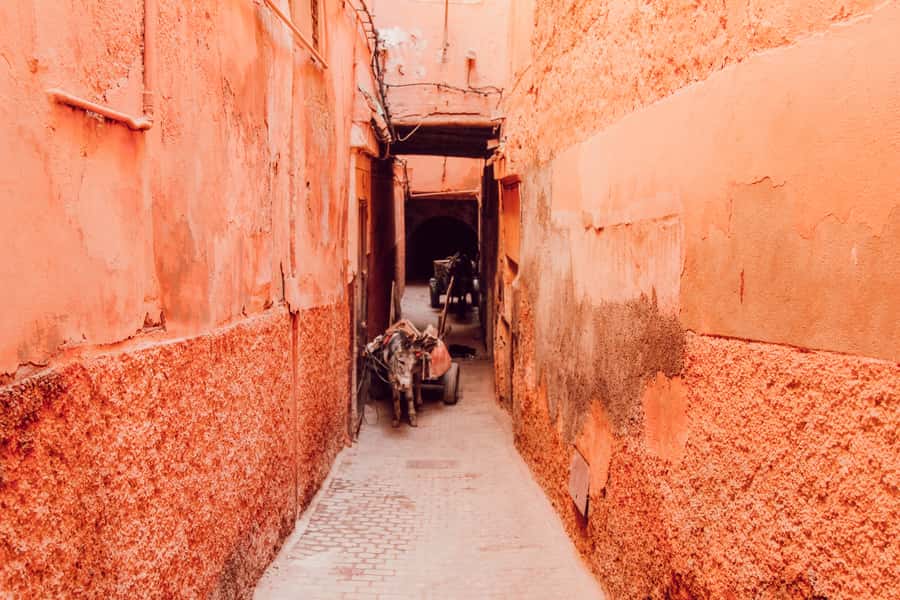 Marrakech: Customized Guided Walking Tour - Quiet neighborhoods, riad terraces, and mint tea