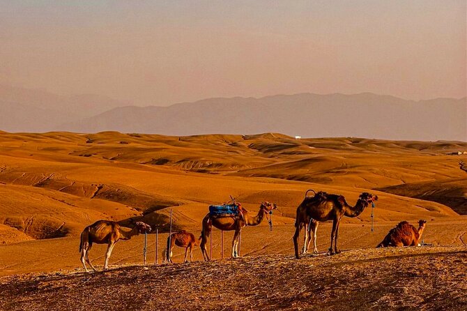 Marrakech Day Trip: Agafay Desert, Atlas Mountains and Camel Ride - Lunch in a mountain village