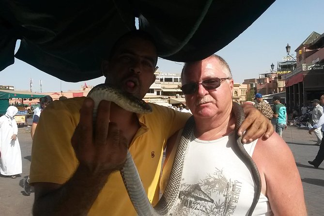 Marrakech day trip from Agadir & Taghazout - Who should book this day trip?