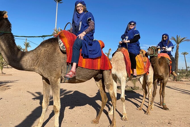 Marrakech day Trip from Casablanca with FREE Camel Ride - Bab Agnaou and the old Jewish quarter