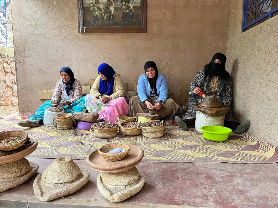 Marrakech: Day Trip To Atlas Mountains Ourika Waterfall - Who will enjoy this Ourika excursion