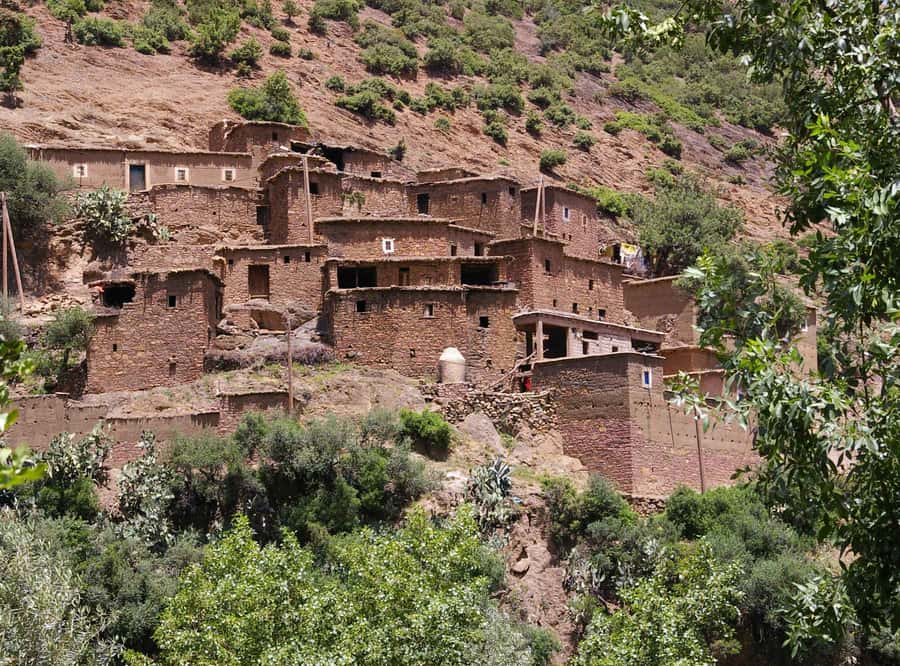 Marrakech Day Trip to Ourika valley & Waterfalls - Leaving Marrakech for the High Atlas