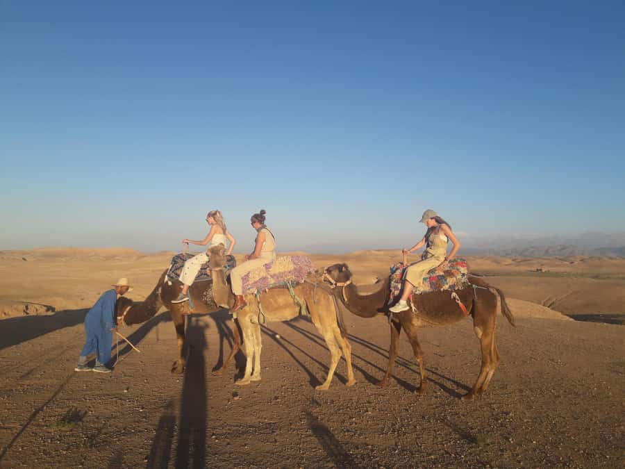 Marrakech Day Trip to Ourika valley & Waterfalls - An aromatic garden and the flavors of the valley