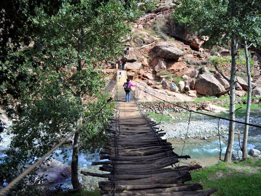 Marrakech Day Trip to Ourika valley & Waterfalls - Meeting a Berber family over mint tea