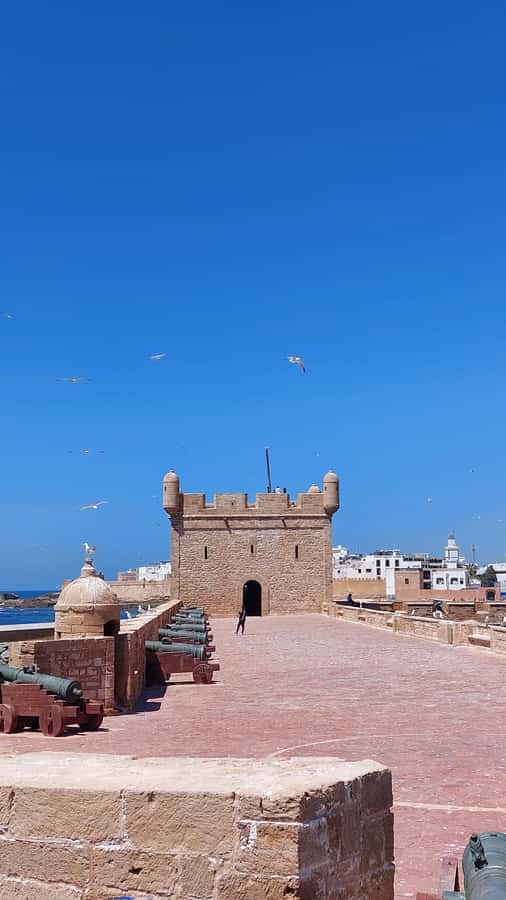 Marrakech: Day Trip to the Beautiful and Historic Essaouira - The Port, Beach, and Optional Activities