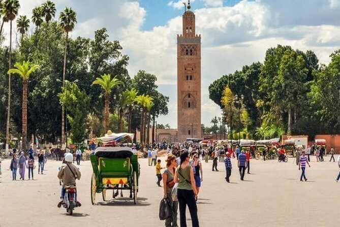 Marrakech Day Trip with Camel Ride from Casablanca - The early road from Casablanca to La Palmeraie