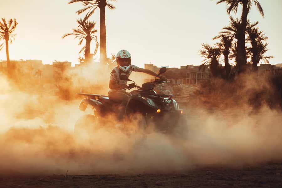 Marrakech: Desert and Palm Grove Quad Tour with Tea - Practical value at $22