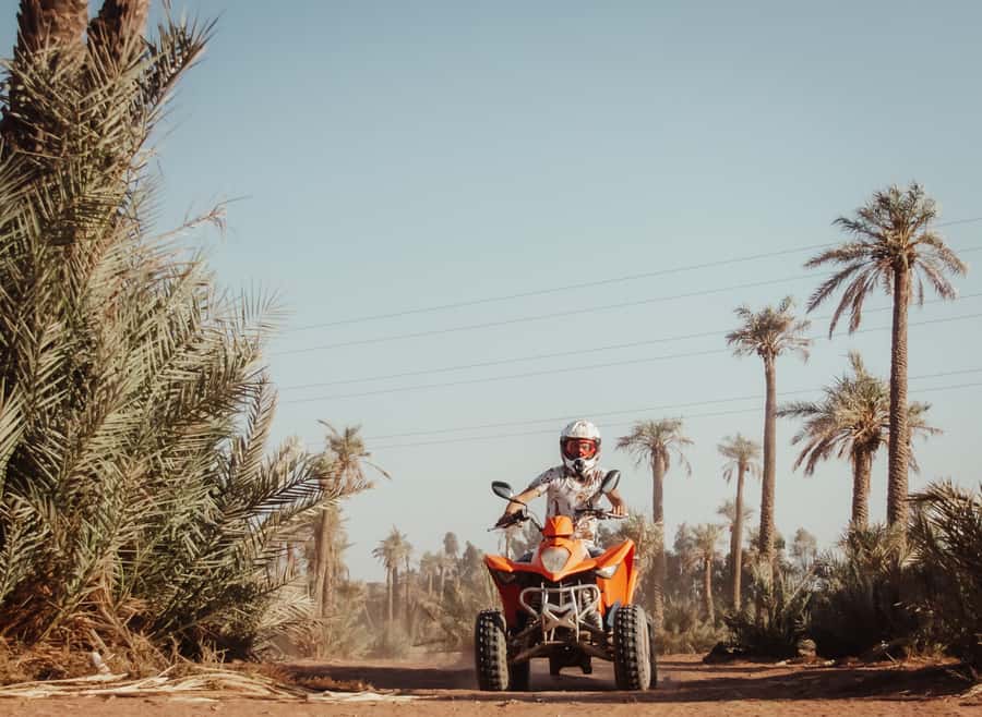 Marrakech: Desert and Palm Grove Quad Tour with Tea - The tea stop with bread, honey, and olives
