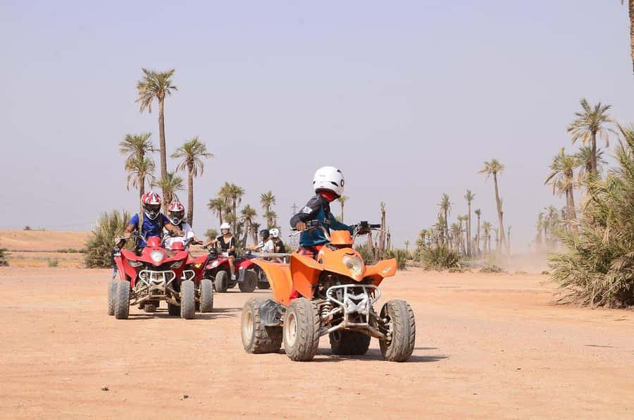 Marrakech: Desert and Palm Grove Sunset Quad Tour with Tea - The sunset photo stop in the palm grove