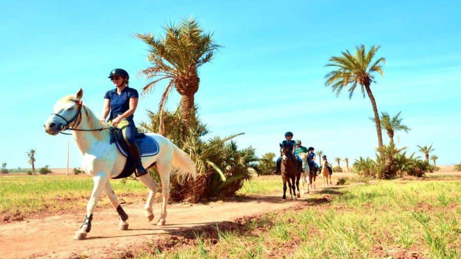 Marrakech: Desert and Palmeraie Horse Riding Tour & Transfer - Choosing a horse and finding your pace