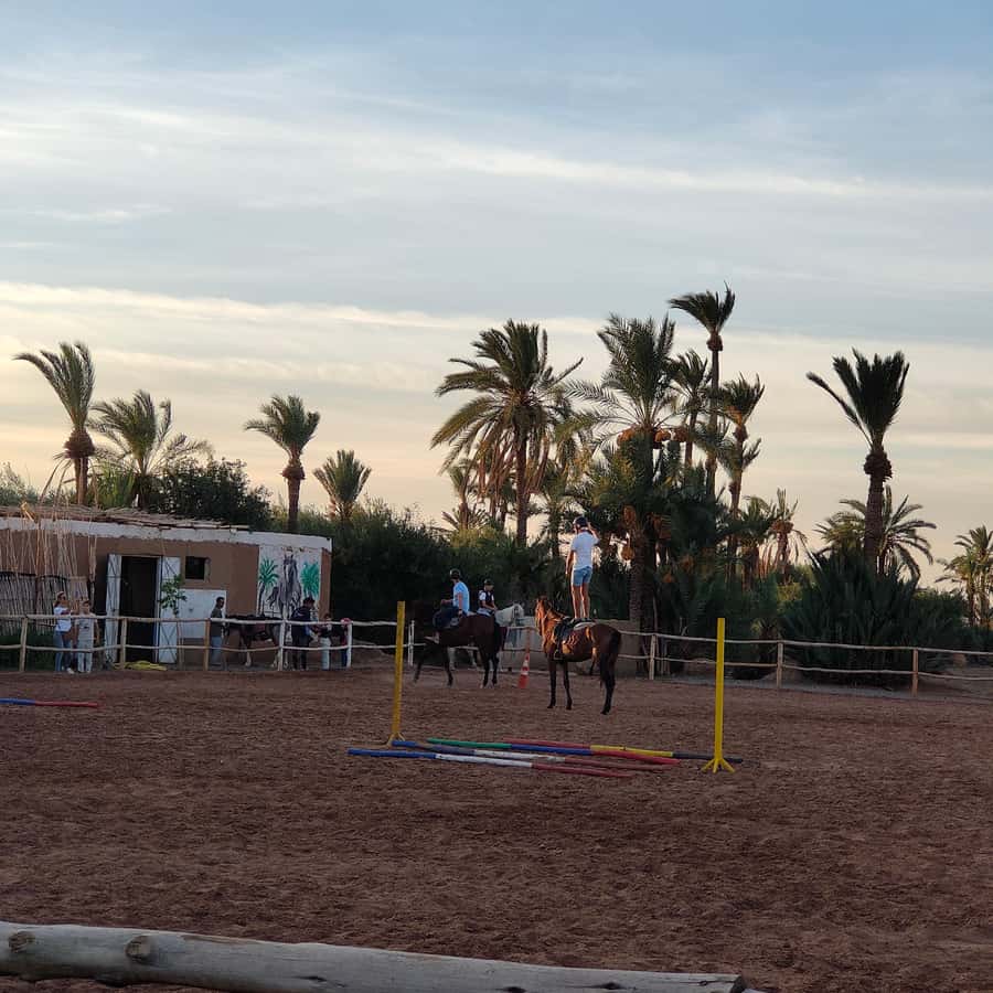 Marrakech: Desert and Palmeraie Horse Riding Tour & Transfer - Atlas Mountain views and a calm two-hour outing