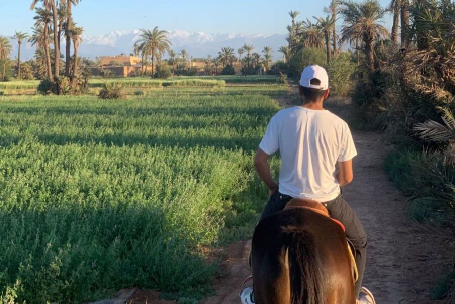 Marrakech: Desert and Palmeraie Horse Riding Tour & Transfer - Photos, guides, and communication