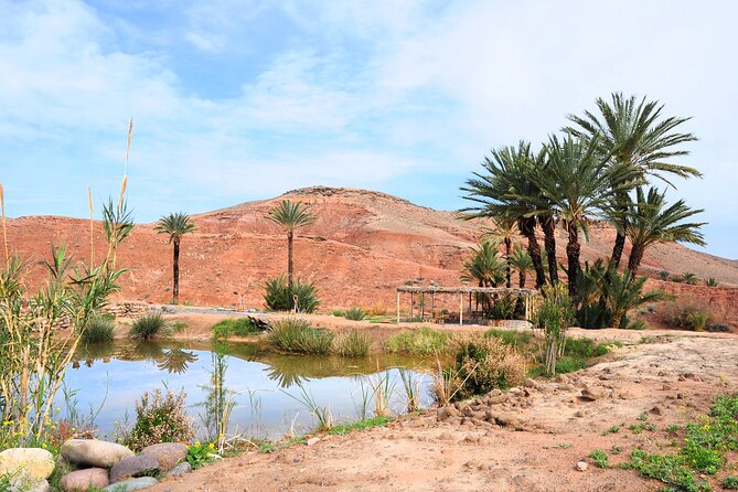Marrakech Desert Buggy Tour Including Berber Tea Break and transfer - Safety, clothing, and age limits