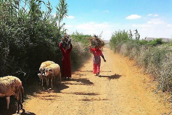 Marrakech Desert Buggy Tour Including Berber Tea Break and transfer - Is $86.32 a fair price?