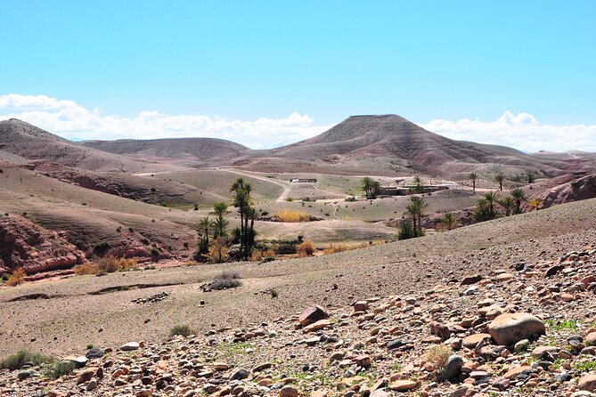 Marrakech Desert Buggy Tour Including Berber Tea Break and transfer - Who will enjoy this most