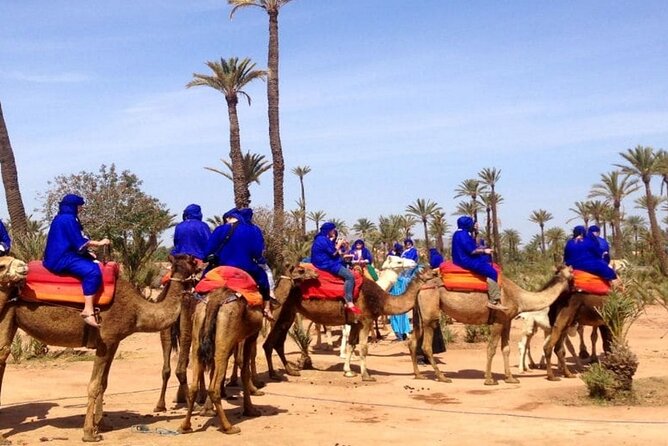 Marrakech Desert Camel Ride - A camel ride close to Marrakech
