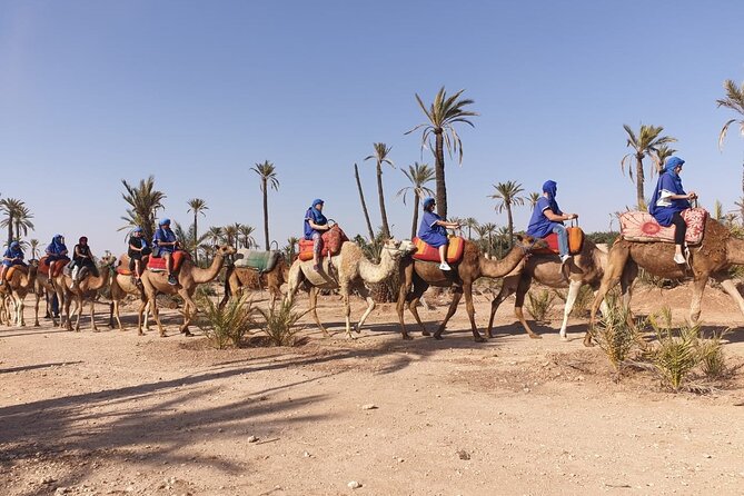 Marrakech Desert Camel Ride - Pickup makes this easy from Marrakech