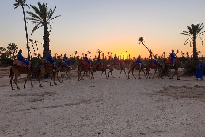 Marrakech Desert Camel Ride - Is $26.71 a fair price?