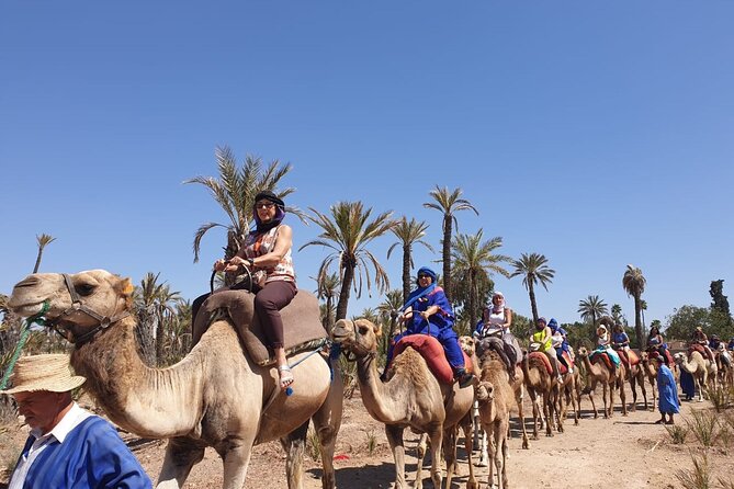 Marrakech Desert Camel Ride - Who will enjoy this outing most?