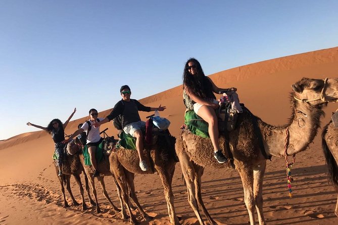 Marrakech Desert: Camel Ride, Quad Biking & Dinner Show Options - Guides, drivers, and the human side of the trip