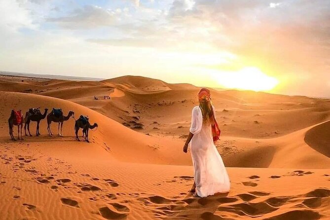 Marrakech Desert: Camel Ride, Quad Biking & Dinner Show Options - An important note about conflicting itinerary details