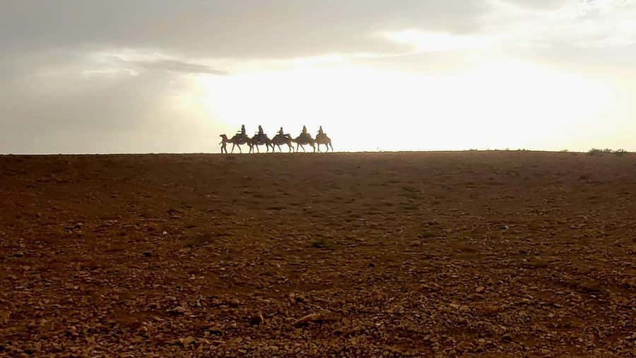 Marrakech: Desert Quad Bike Tour with Tea & Optional Dinner - Who will enjoy this outing most