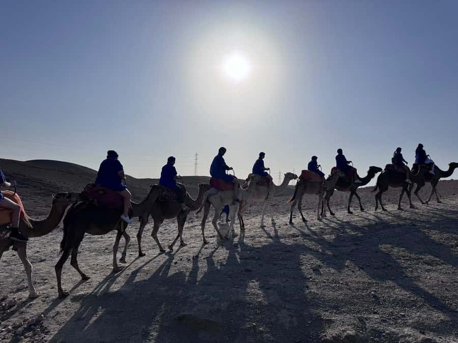 Marrakech: Desert Quad Bike Tour with Tea & Optional Dinner - Is $45 a good value?