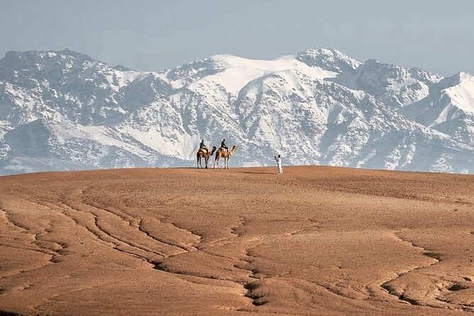 Marrakech Desert Tour & Sunset Camel Ride with Dinner Show - The camel ride is short, scenic, and easy to photograph