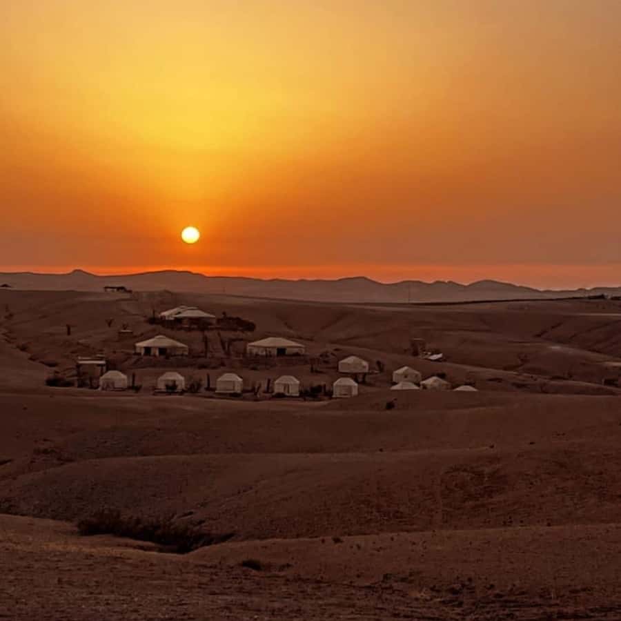 Marrakech: Desert Tour with Dinner, Show and Camel Ride - The camel ride along a Berber path