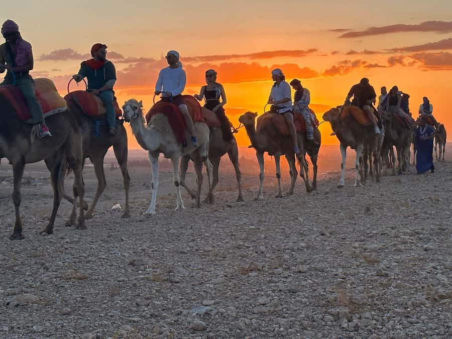 Marrakech: Desert Tour with Dinner, Show and Camel Ride - Takerkoust Dam and the tea stop
