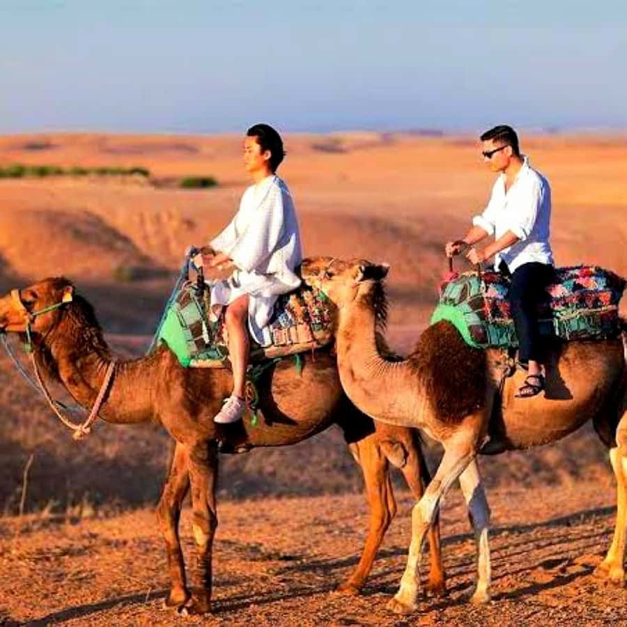 Marrakech: Dinner and Quad bike Desert Agafay Stars & show - Timing, weather, and comfort