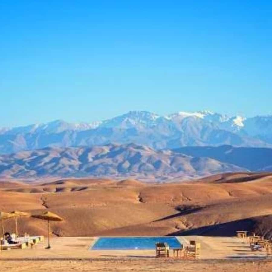 Marrakech: Dinner and Quad bike Desert Agafay Stars & show - The argan-oil stop and Moroccan mint tea
