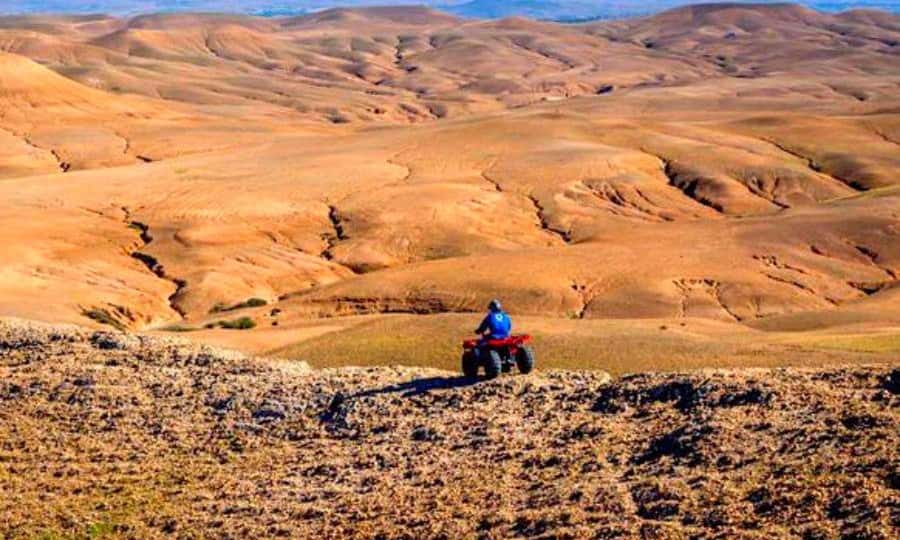 Marrakech: Dinner and Quad bike Desert Agafay Stars & show - A short camel ride with a different rhythm