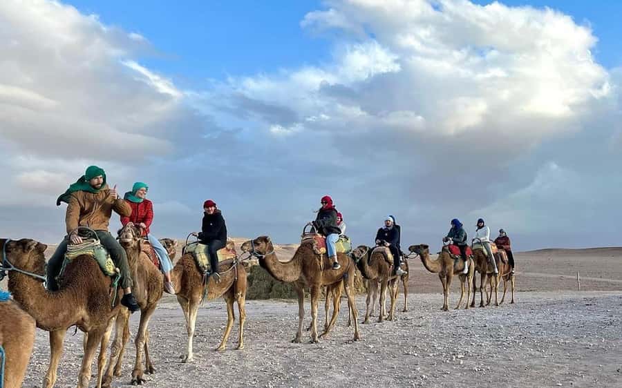 Marrakech Dinner Show Agafay Desert with Camels swiming pool - A useful stop at the argan oil cooperative