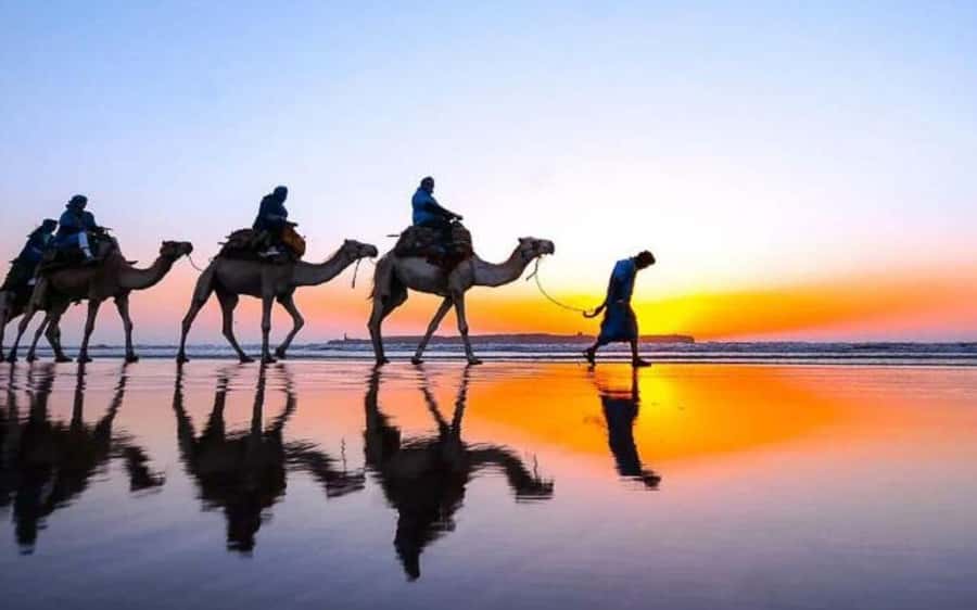 Marrakech Dinner Show Agafay Desert with Camels swiming pool - The 40-minute ride from Marrakech