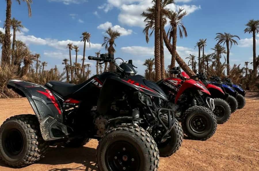 Marrakech: Dunes of the Palmeraie Quad Bike Ride with Tea - Communication and pickup tips